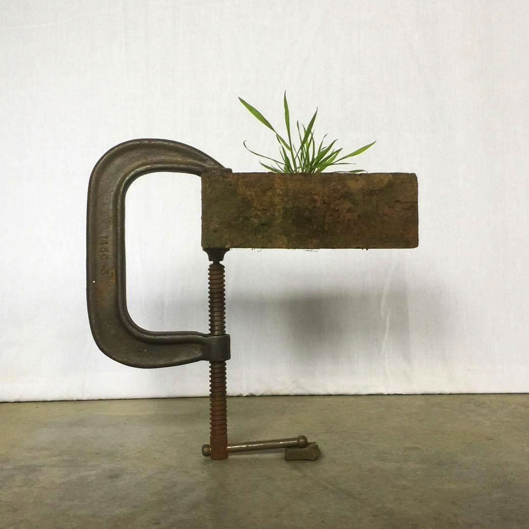 2017 05 01 - 121 of 365 . stone, c clamp, brick (w weed)