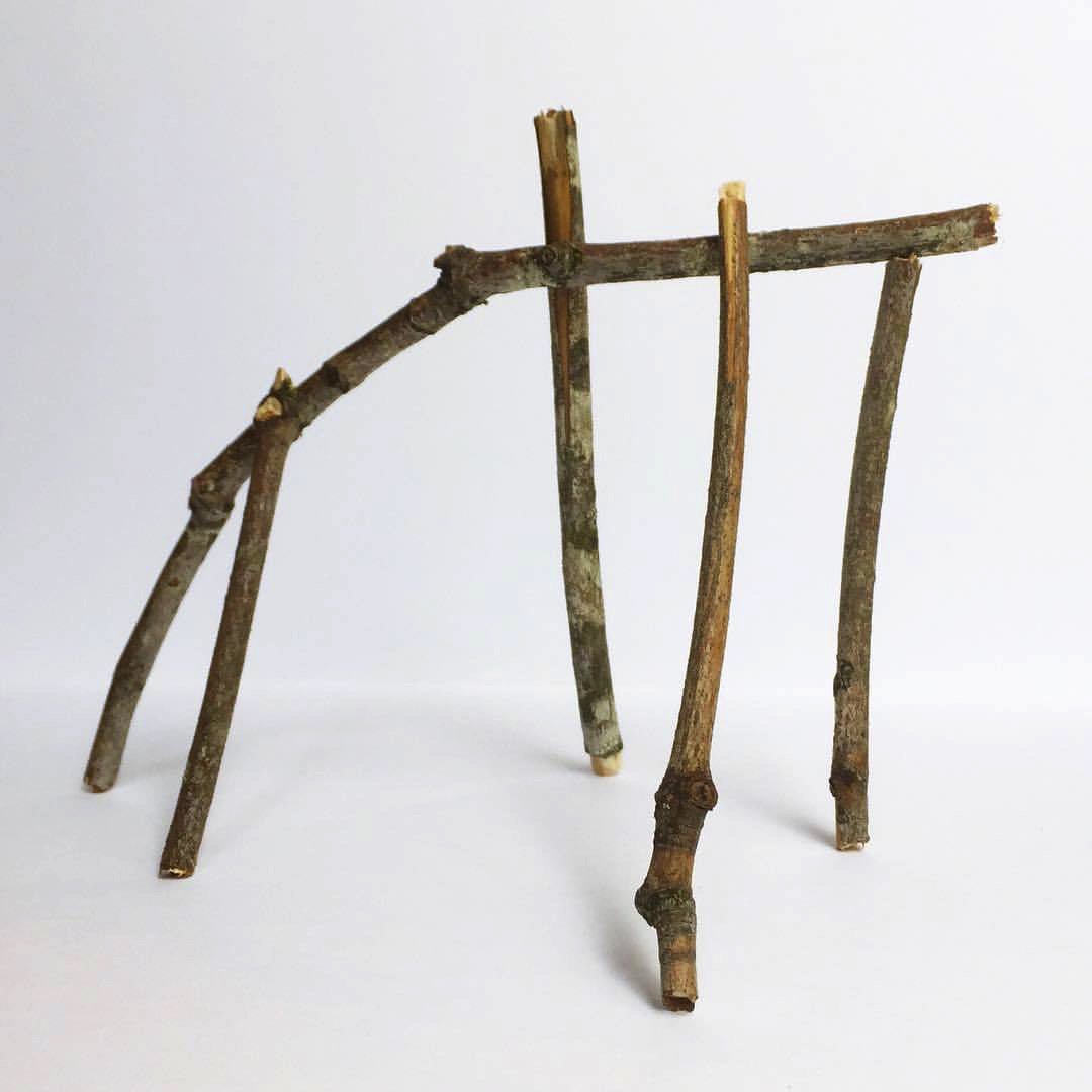 2017 06 01 - 152 of 365 . five sticks