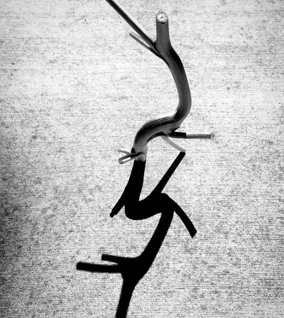 2017 07 08 - 189 of 365 . radish stem, shadow