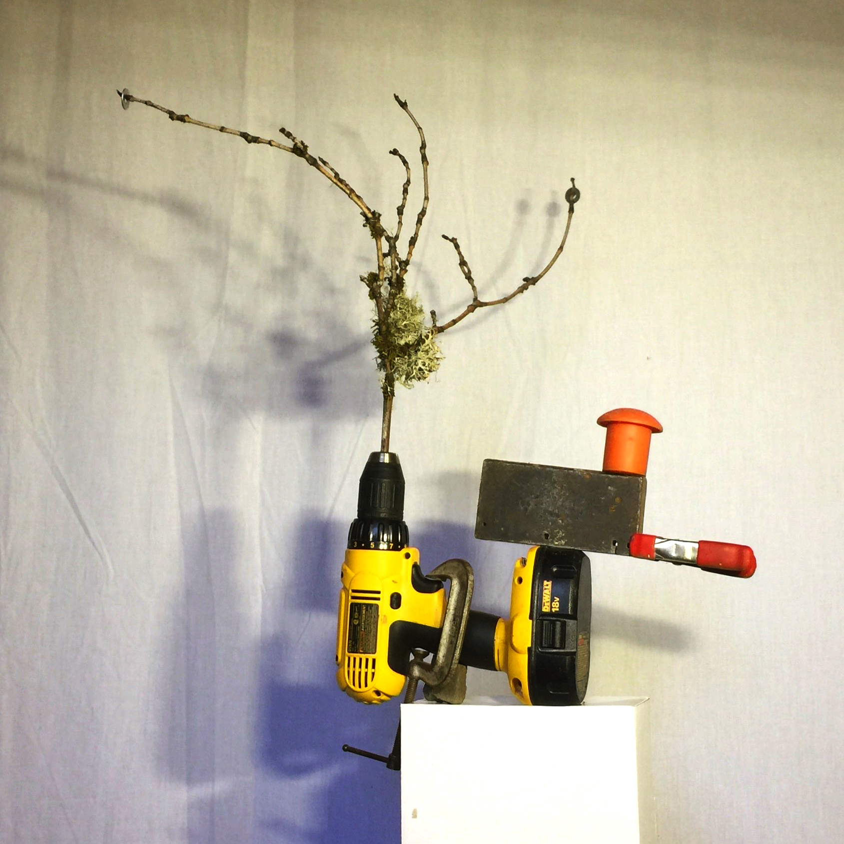 2017 07 17 - 198 of 365 . (video) c clamp, drill, stone, block, clamp, cap, branch, washers