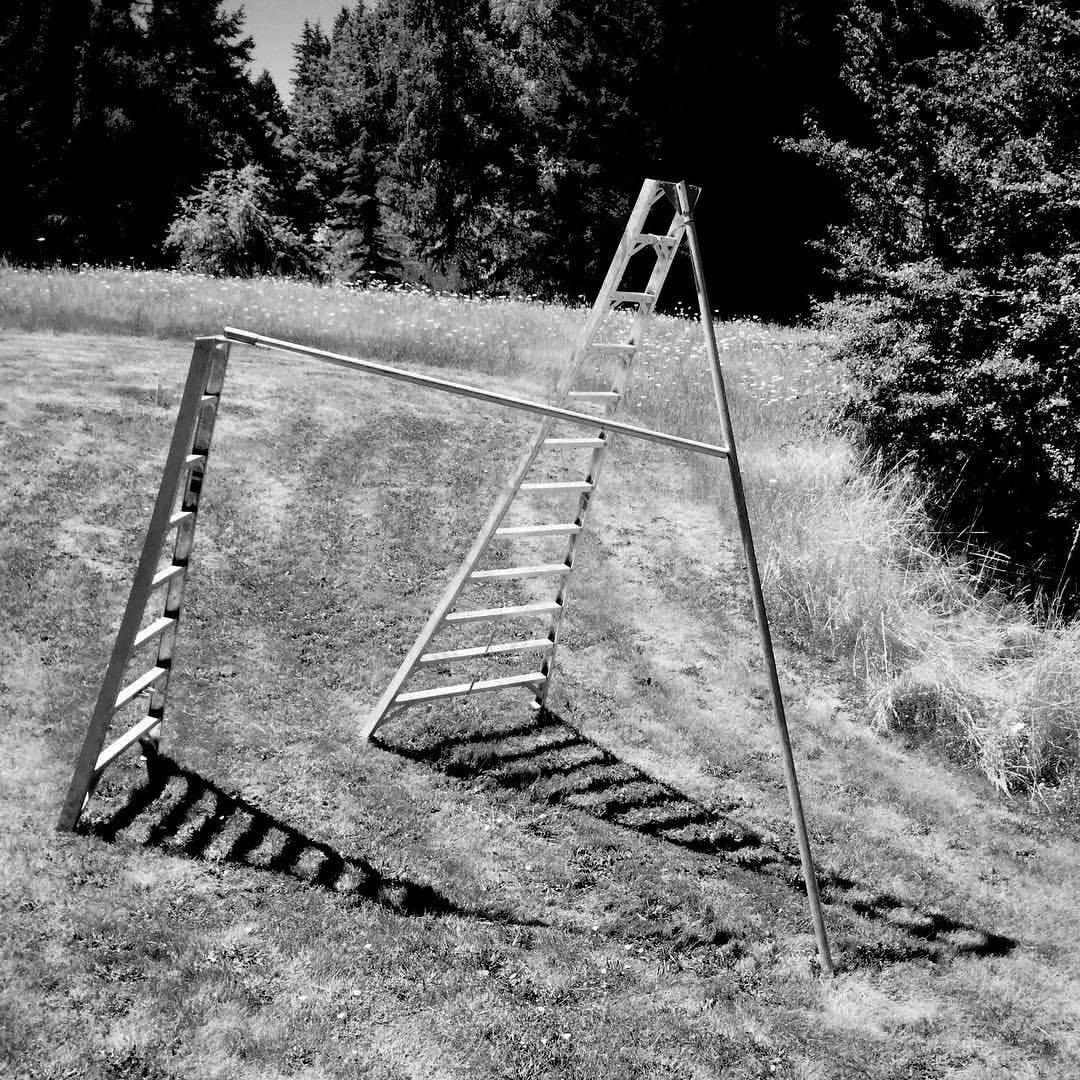 2017 07 27 - 208 of 365 . orchard ladders, shadows
