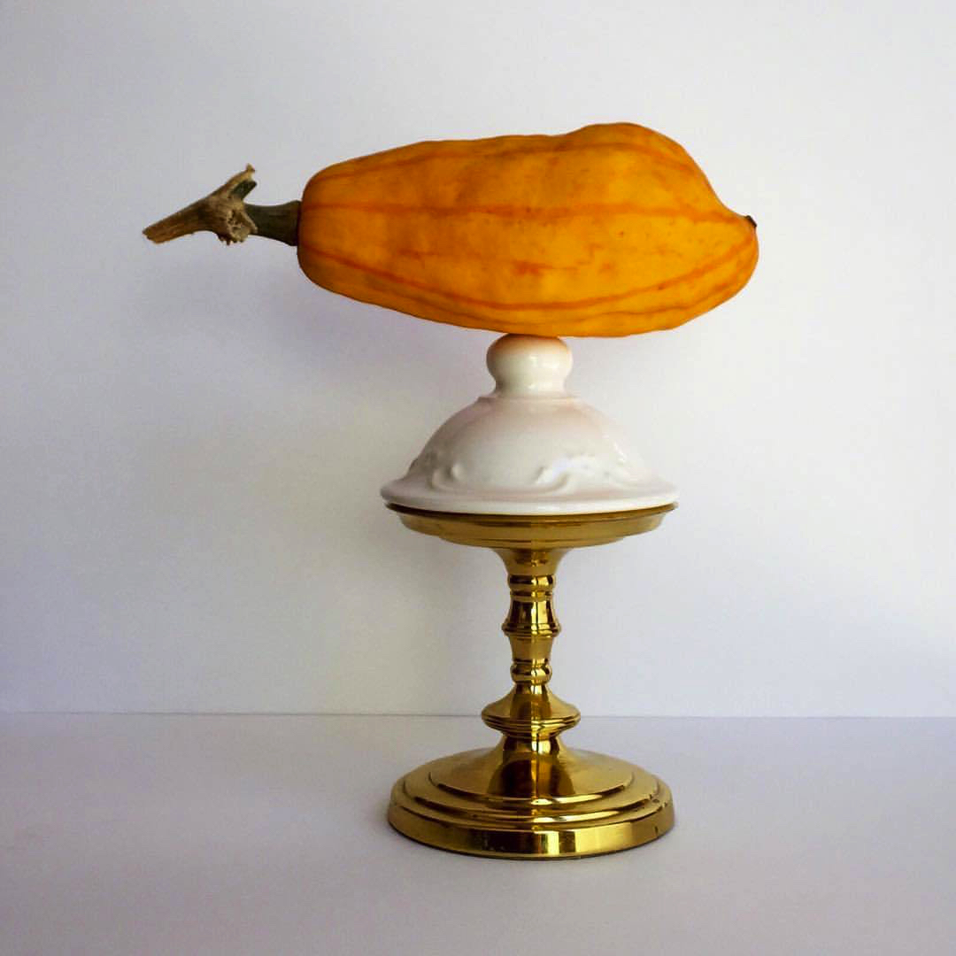 2017 07 31 - 212 of 365 . candle stand, porcelain lid, delicata squash