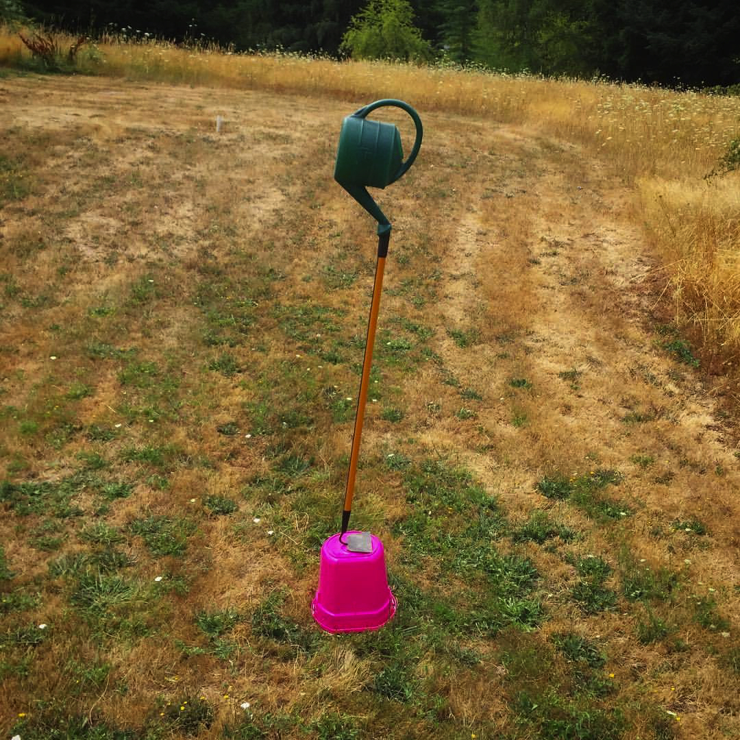 2017 08 06 - 218 of 365 . bucket, hoe, watering can