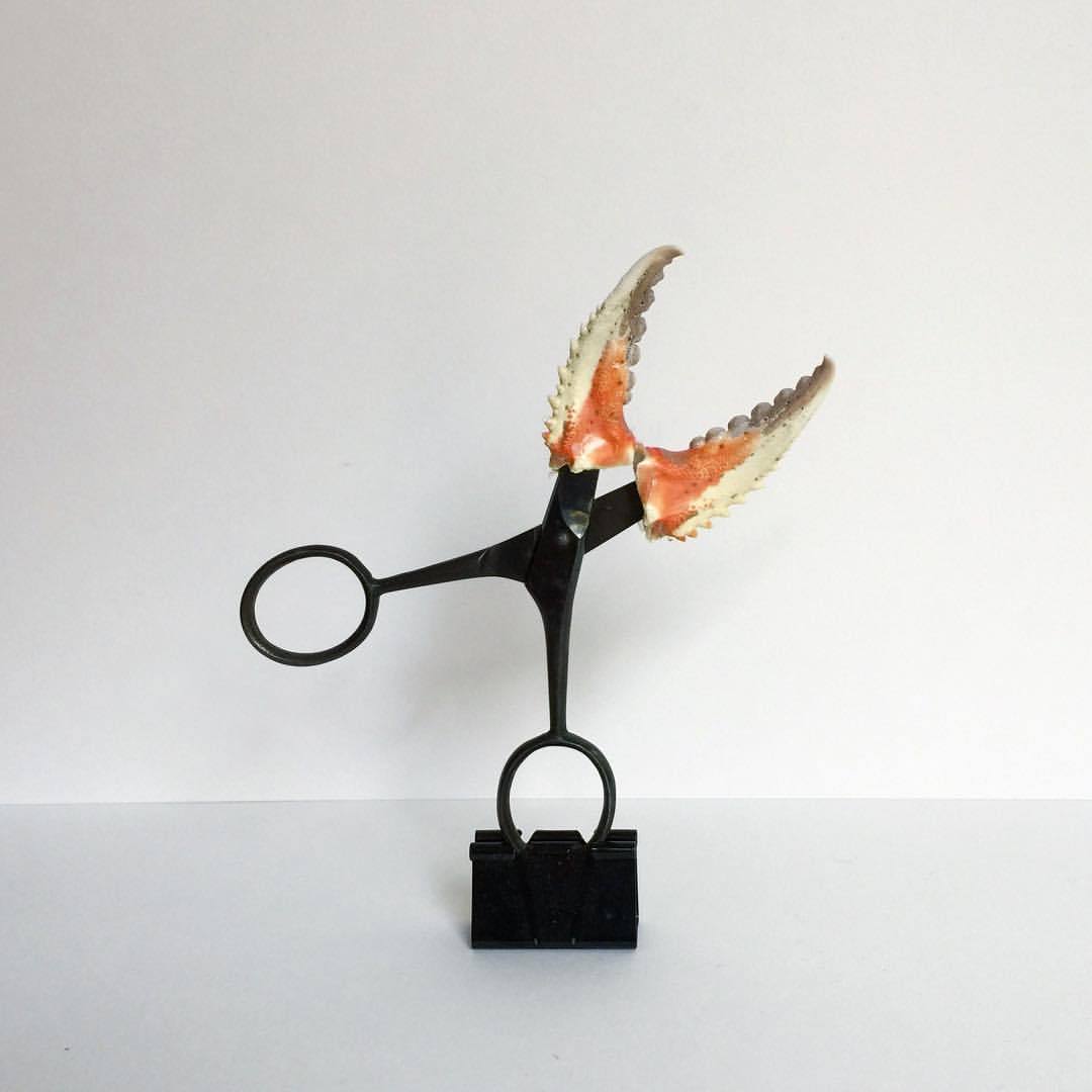 2017 09 06 - 249 of 365 . binder clip, scissors, crab claws