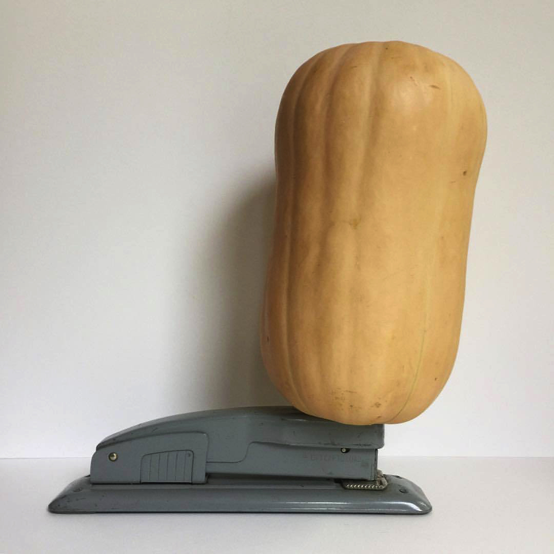 2017 09 25 - 268 of 365 . stapler, butternut squash