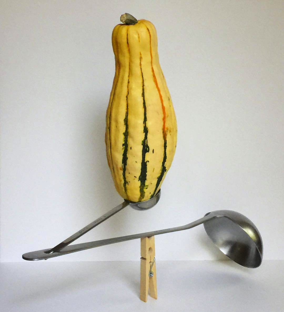 2017 10 14 - 287 of 365 . clothespin, ladle, measuring spoon, delicata squash