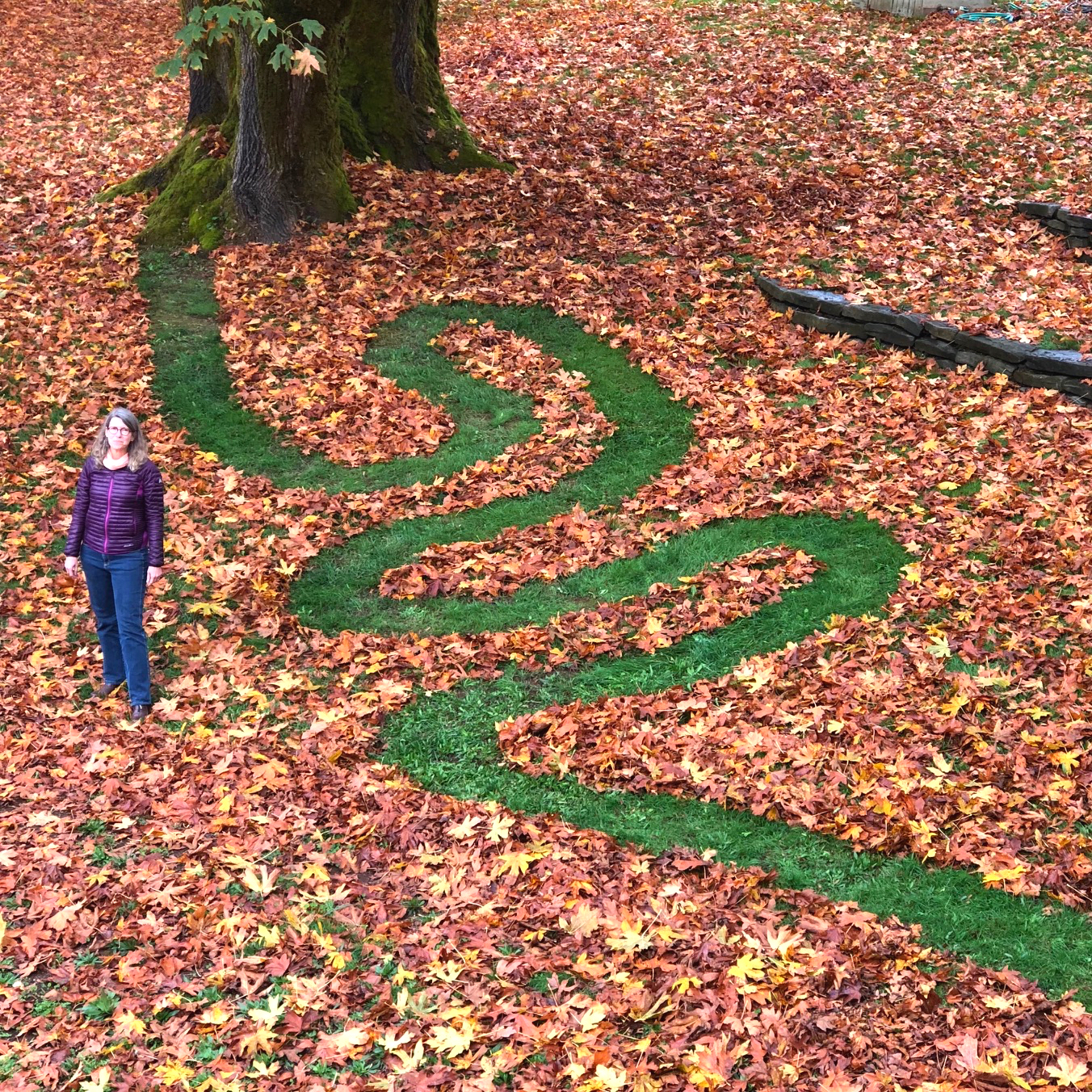 2017 11 03 - 307 of 365 . path (context)