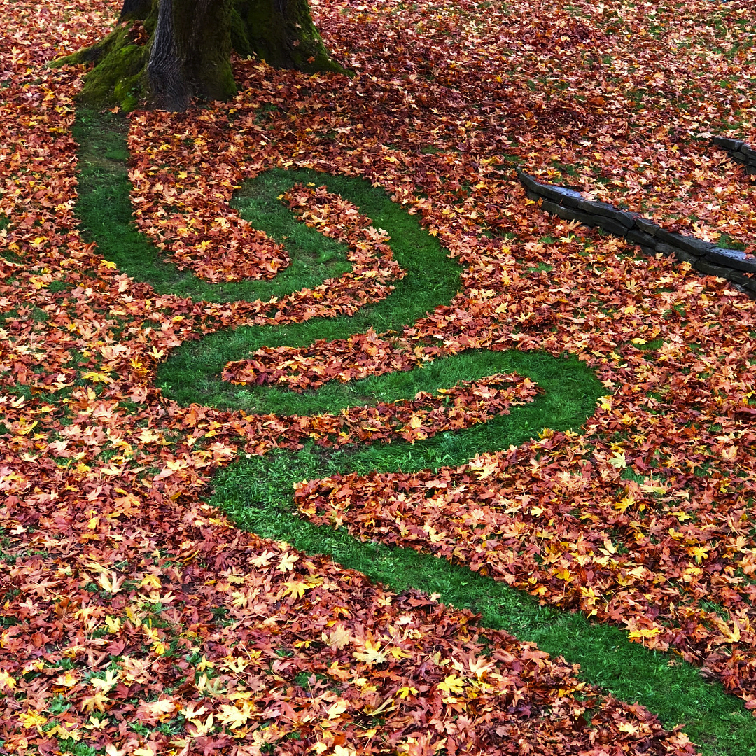 2017 11 03 - 307 of 365 . path
